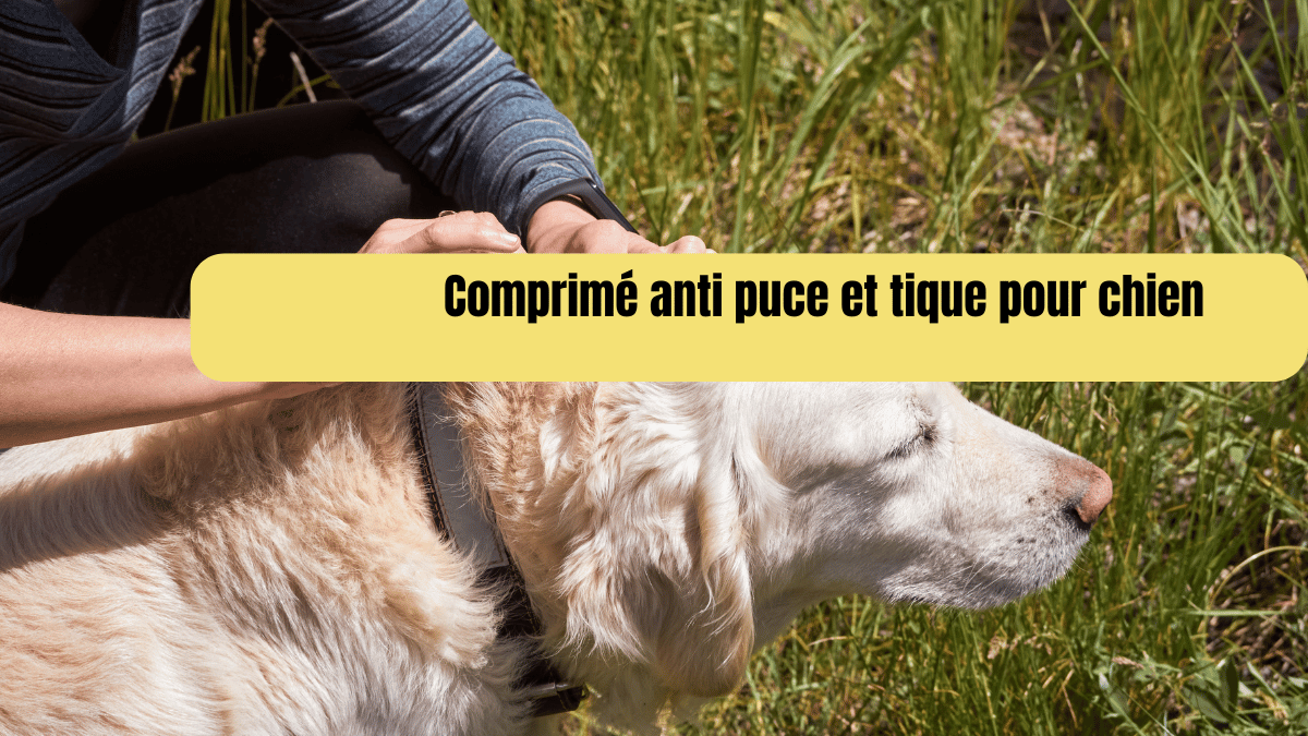 comprimé anti puce et tique pour chien