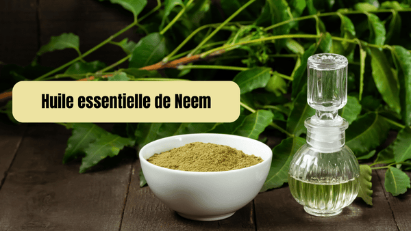 huile essentielle de neem 