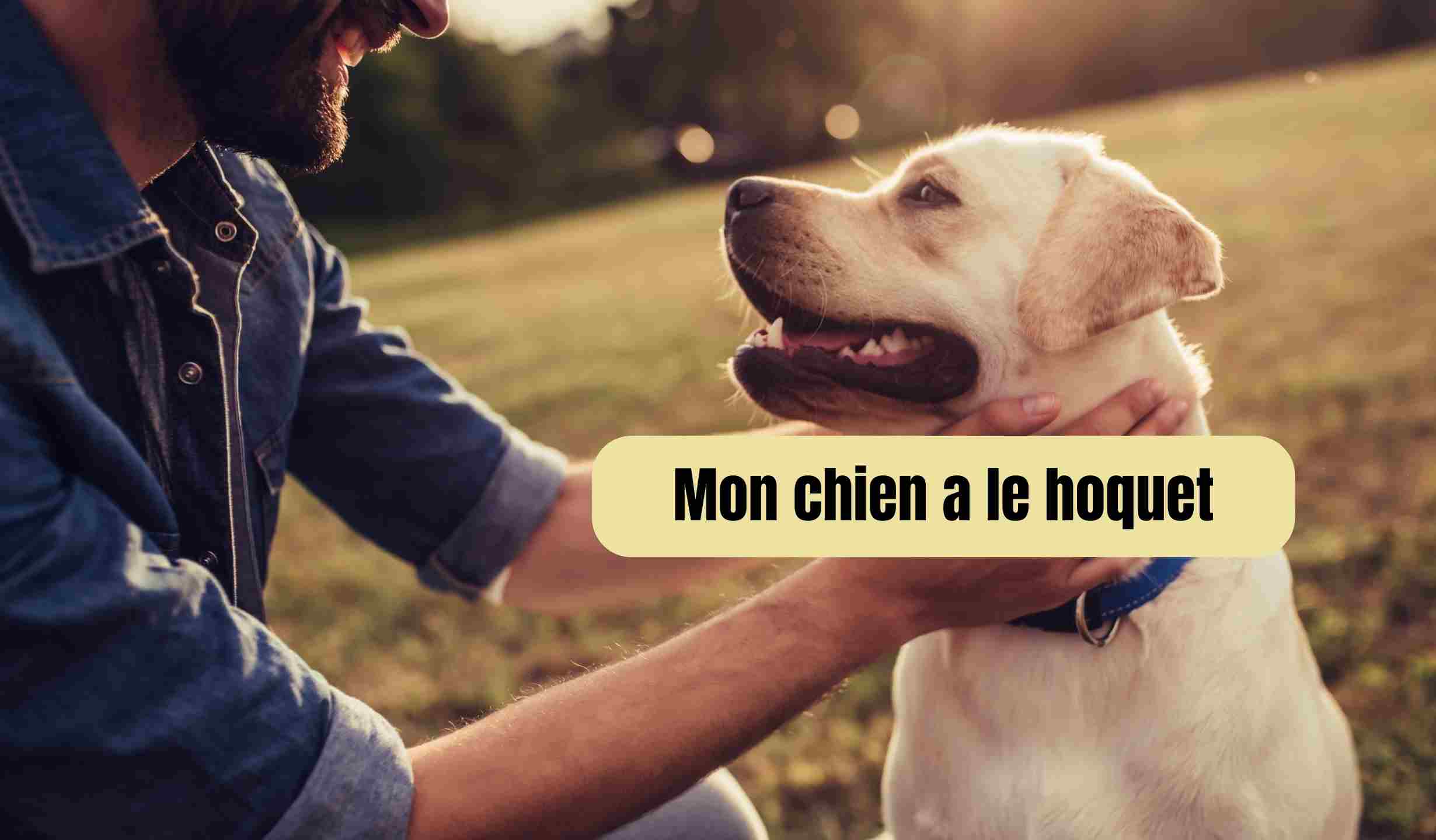 Mon chien a le hoquet