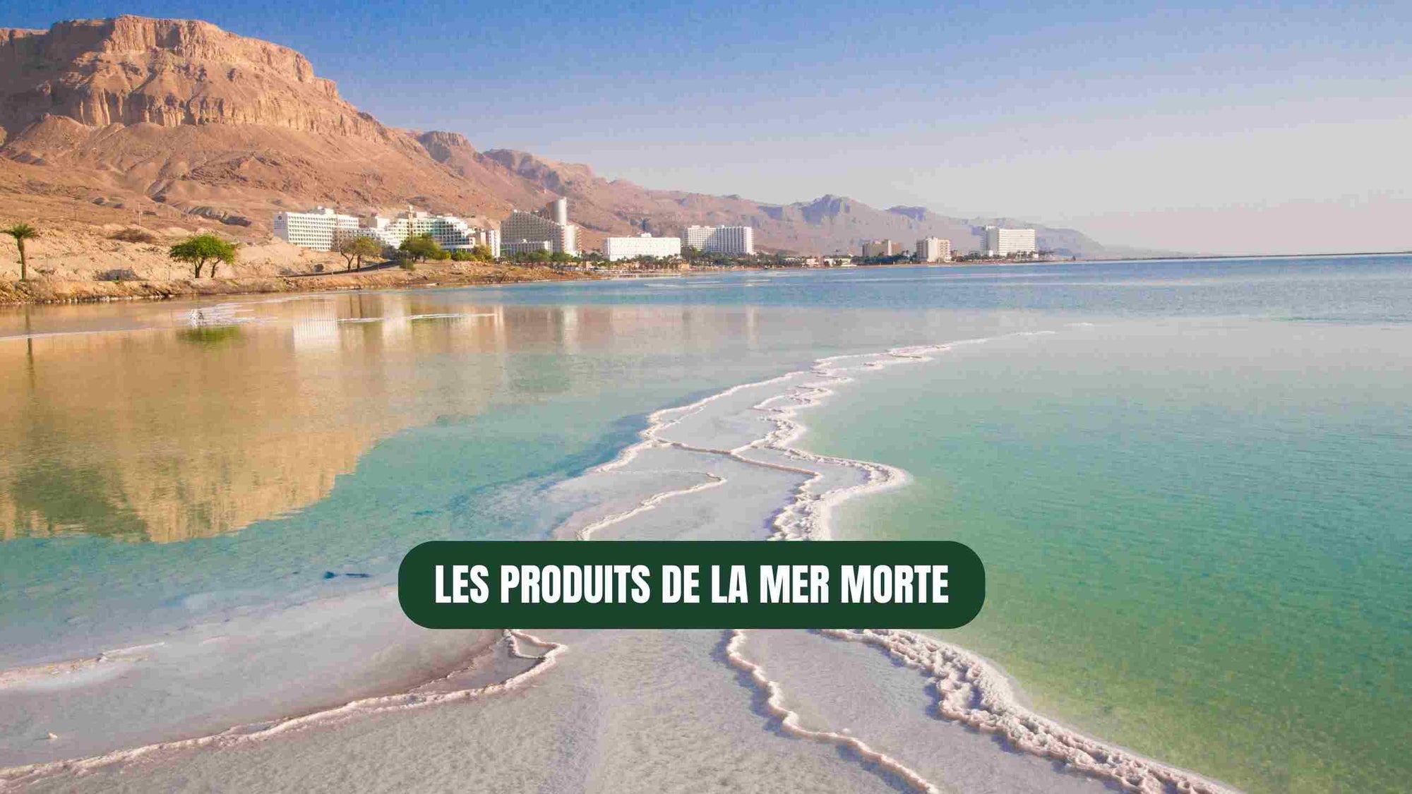 Produits de la mer Morte bienfaits, usages et contreindications — free download