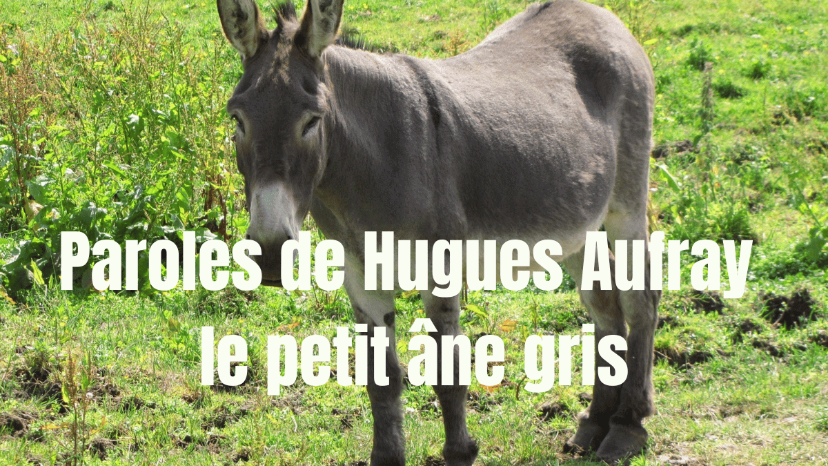 paroles de hugues aufray le petit ane gris