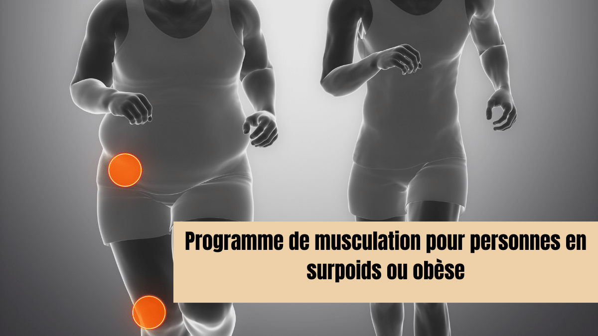 Programme de musculation pour personnes en surpoids ou obese pdf