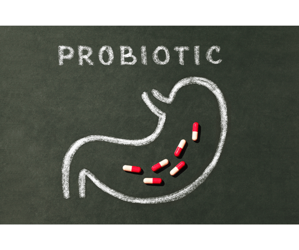 Quel est le meilleur probiotique contre la constipation?