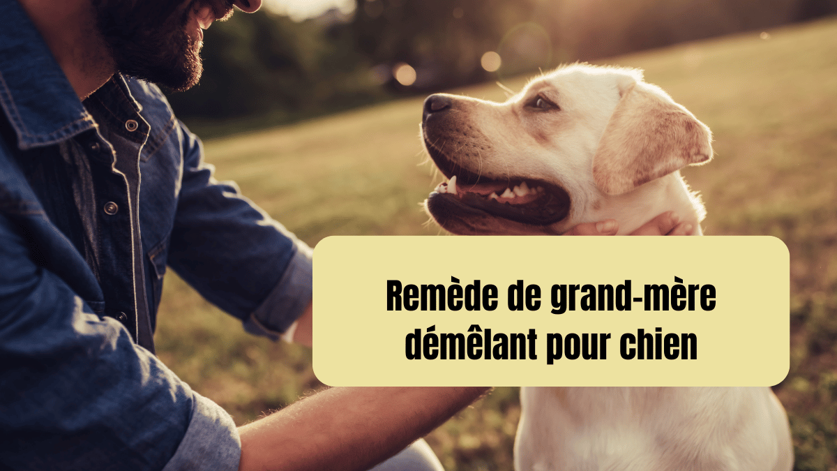 remede de grand-mere demelant pour chien