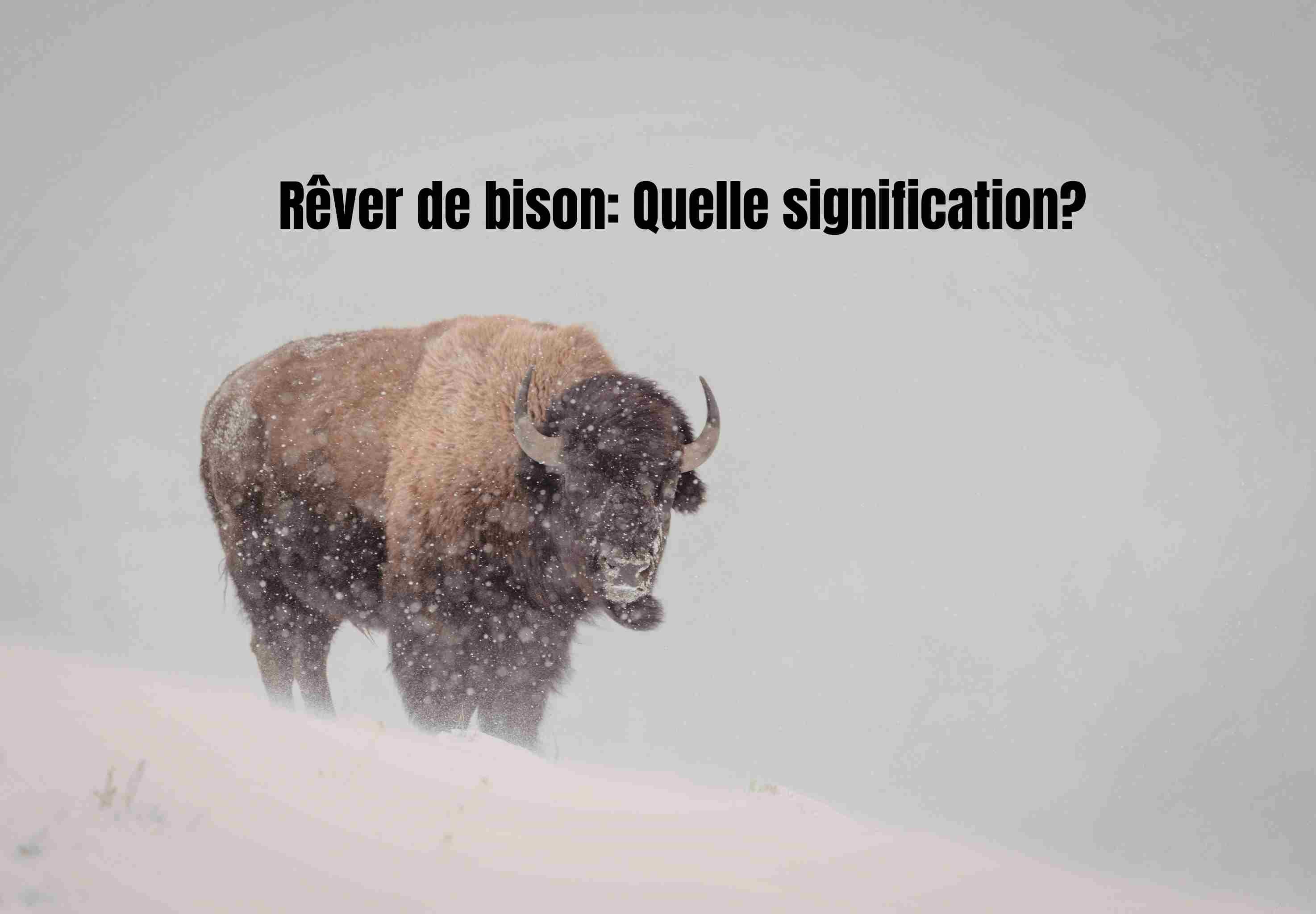 Rêver de bison : quelle signification profonde derrière ce symbole puissant ?