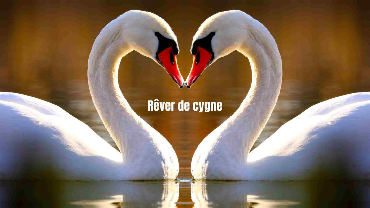 Rêve de cygne: Quelle signification spirituelle?
