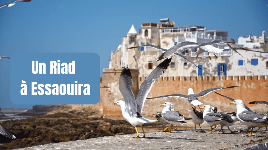 Un Riad à Essaouira : Une destination de vacances unique