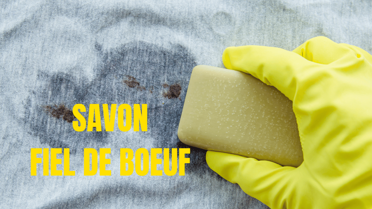 SAVON FIEL DE BOEUF