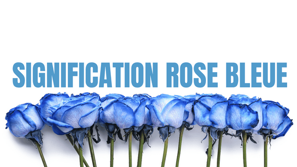 SIGNIFICATION ROSE BLEUE