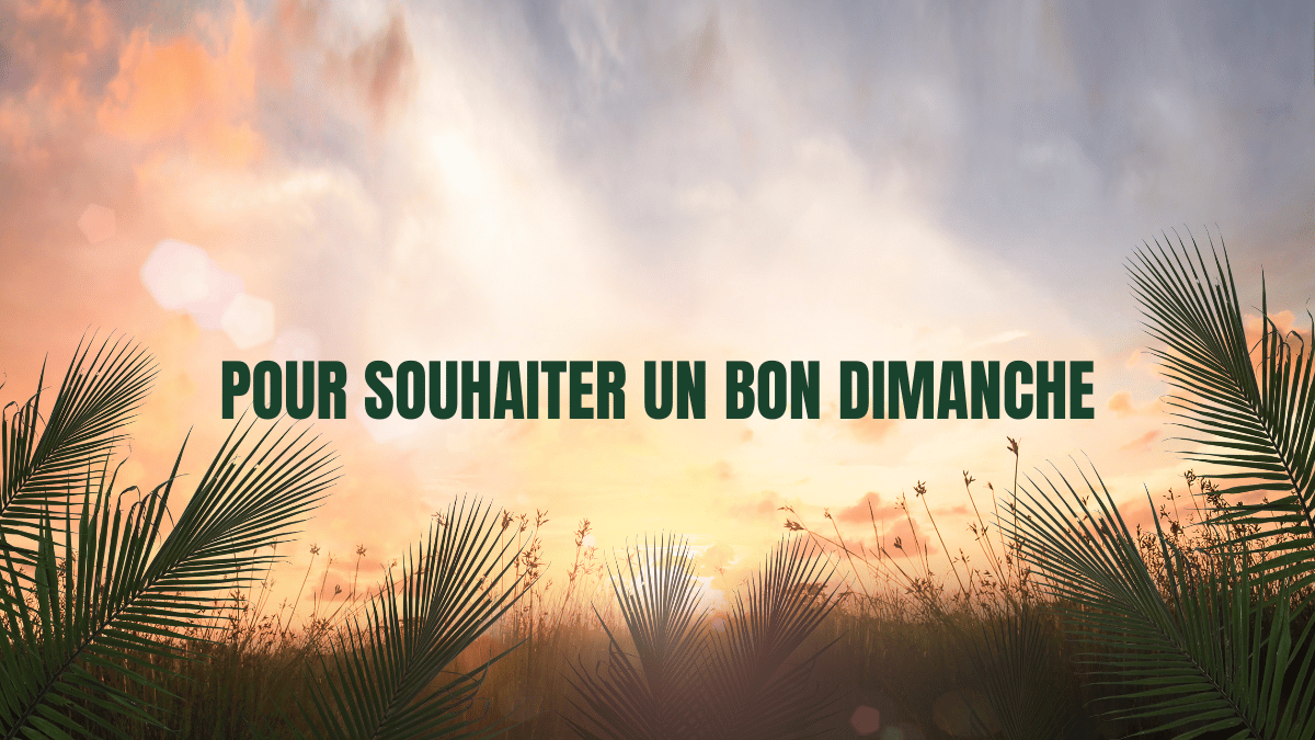 SOUHAITER UN BON DIMANCHE