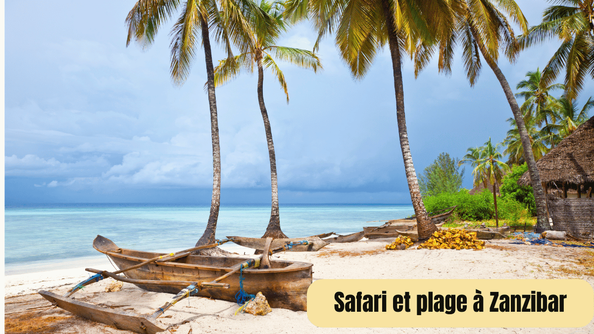 safari et plage a zanzibar