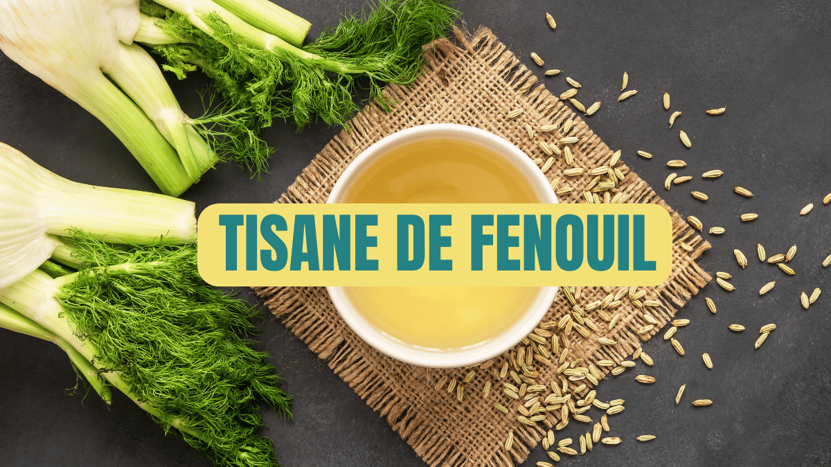 tisane de fenouil