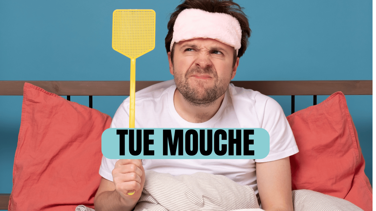 tue mouche