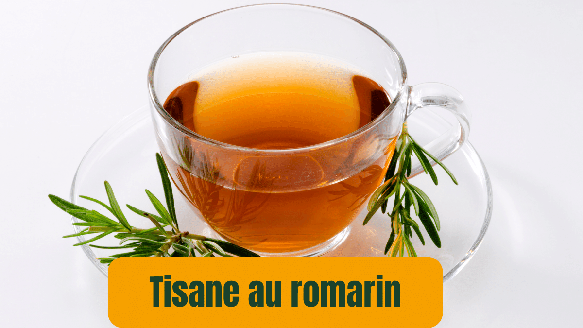 tisane romarin