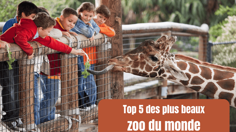 Top 5 des plus beaux zoo du monde à visiter en famille!