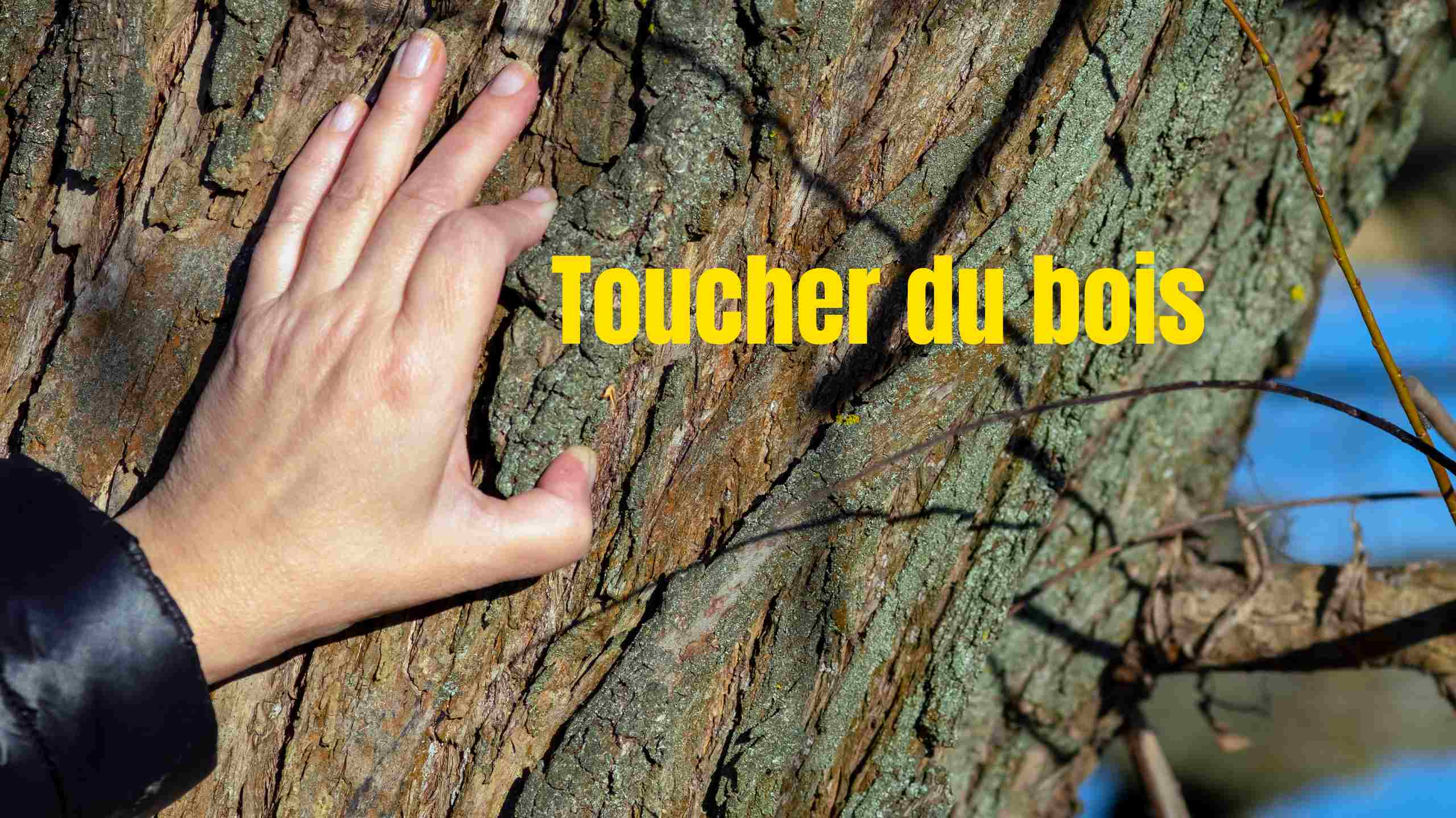 toucher du bois porte bonheur