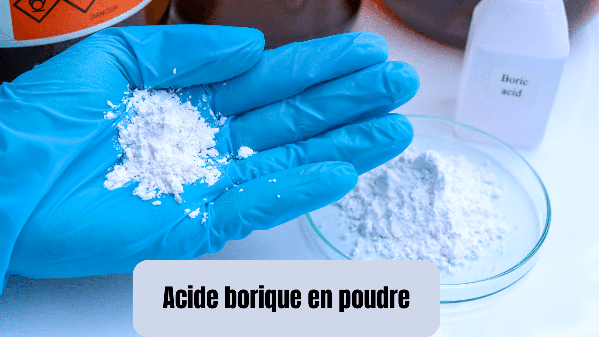 acide borique en poudre