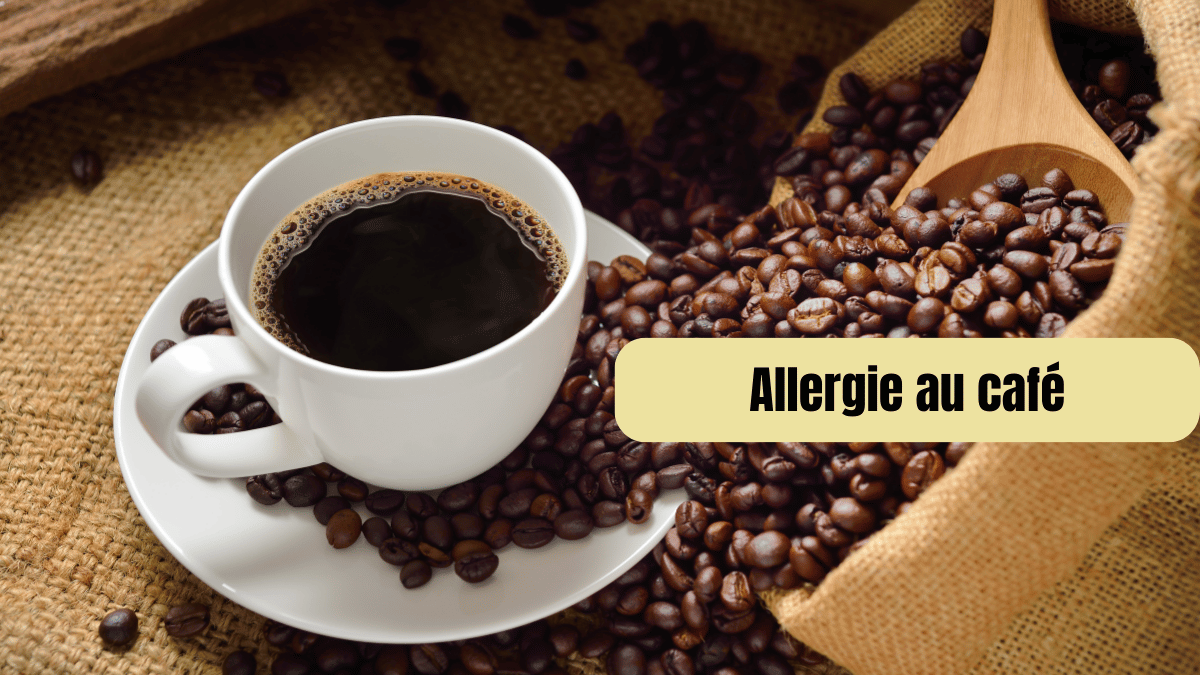 allergie au café