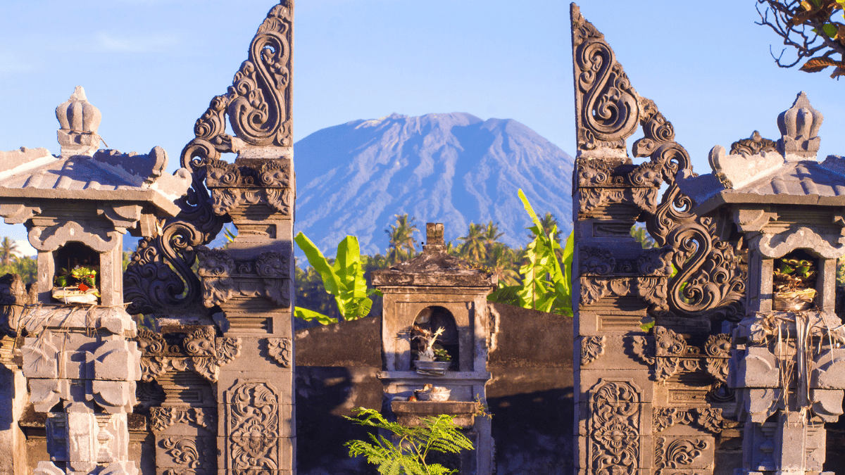 amed bali