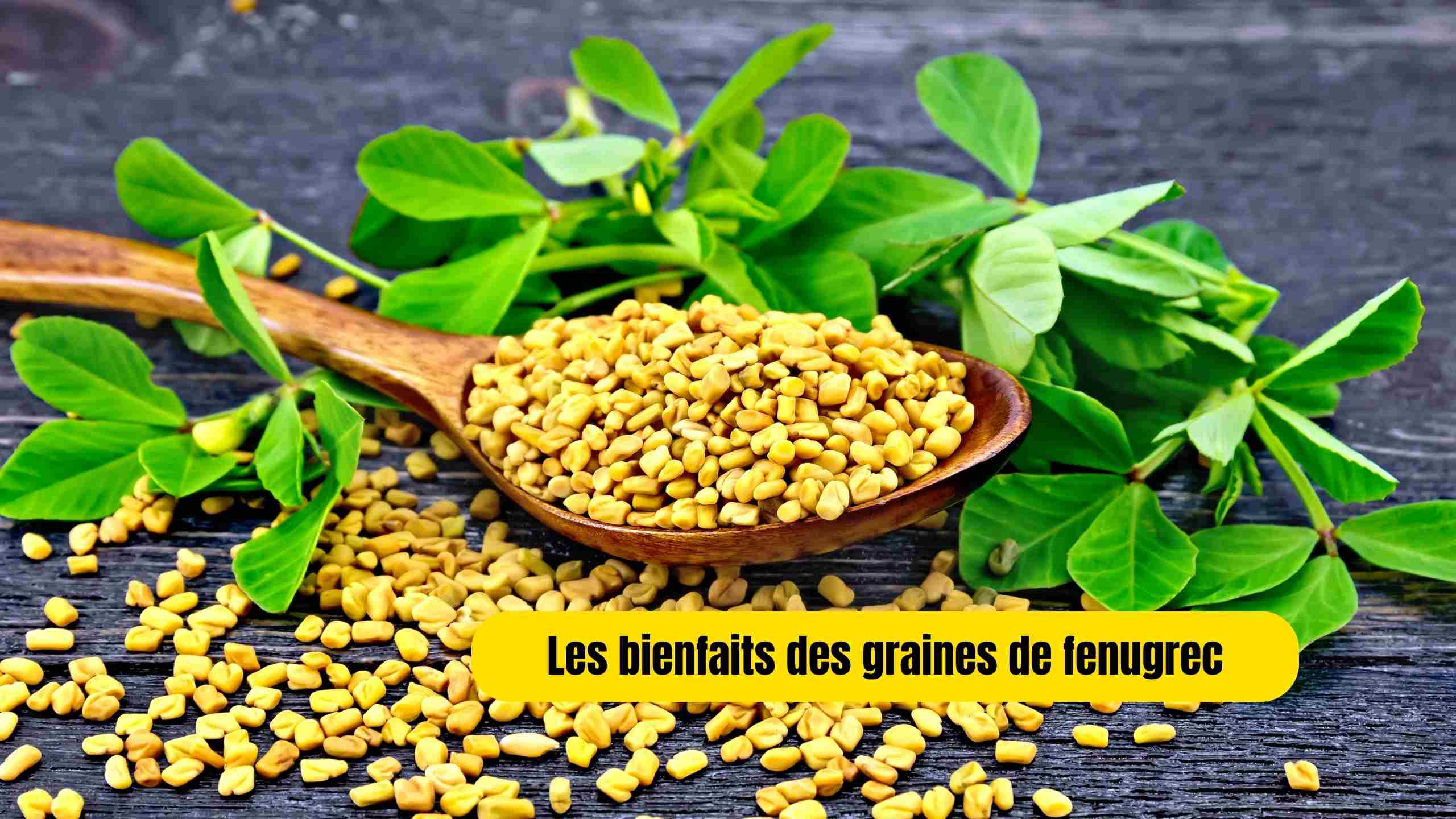 Graine de fenugrec : Bienfaits, propriétés et utilisations pour la santé