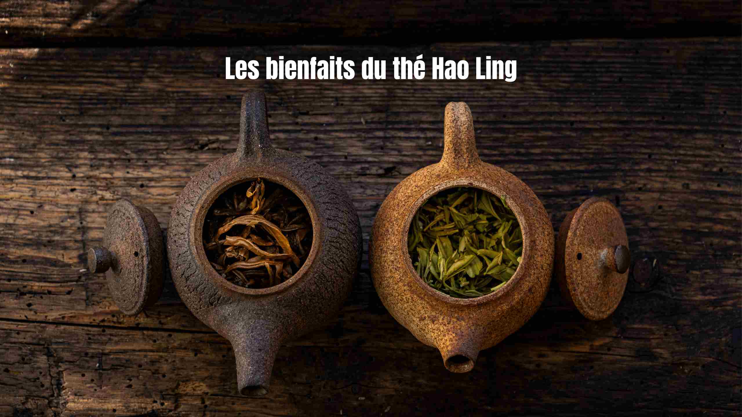 bienfaits et contre indications du thé hao ling