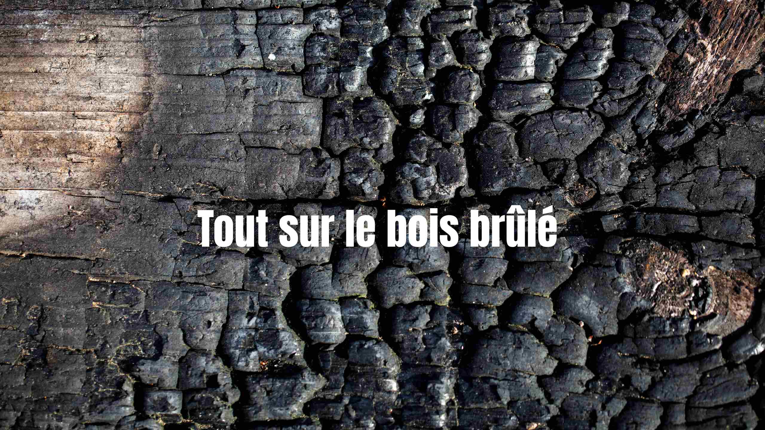 Tout savoir sur le bois brûlé : nom, fabrication, propriétés et traitement