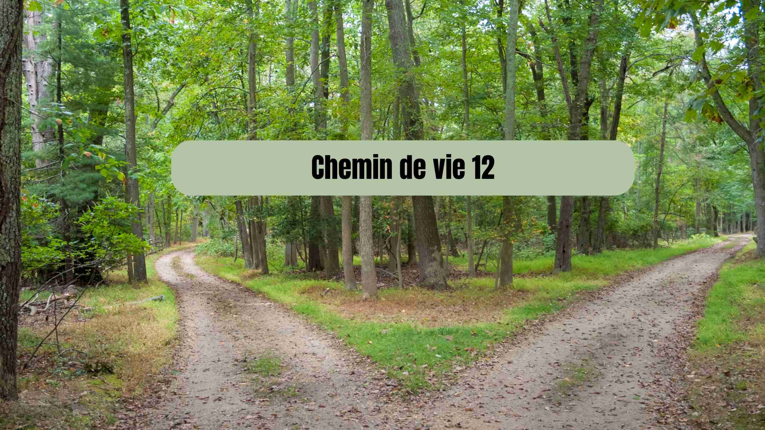 chemin de vie 12