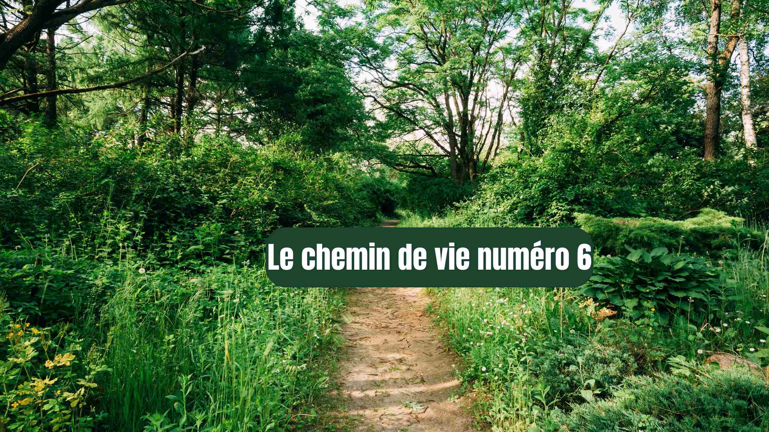 CHEMIN DE VIE 6