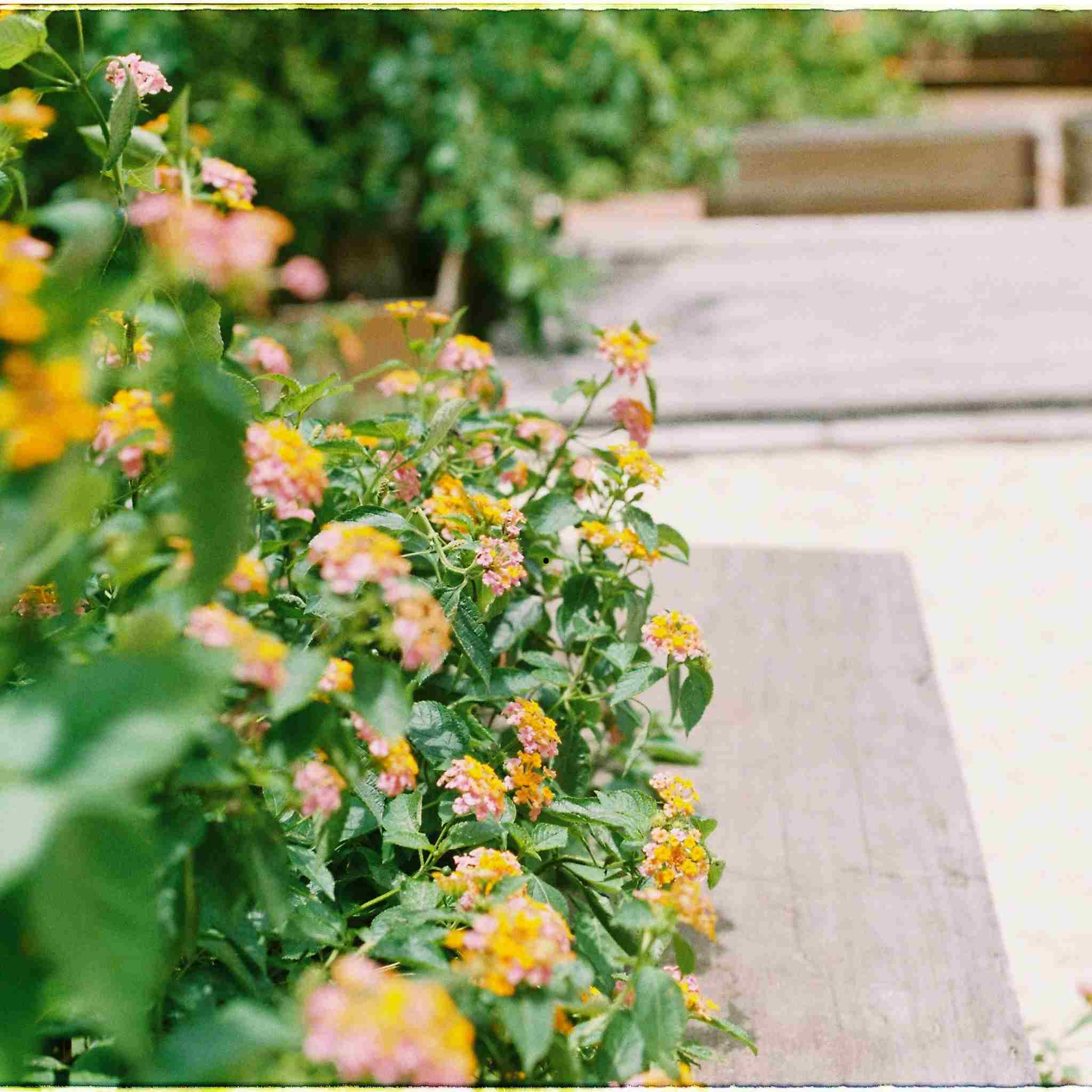 Astuces pour le rangement extérieur, pour un jardin bien aménagé