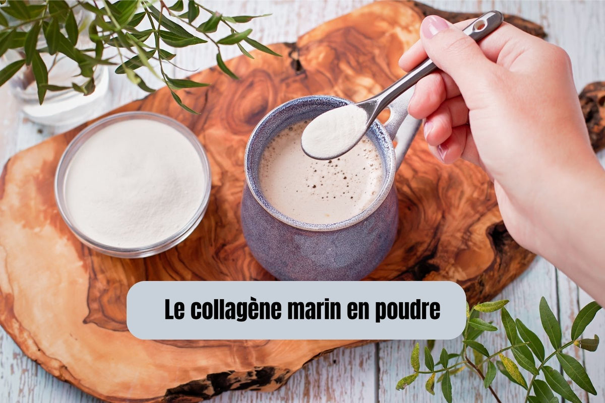 Collagène marin en poudre: comment reconnaître une formule vraiment qualitative ?