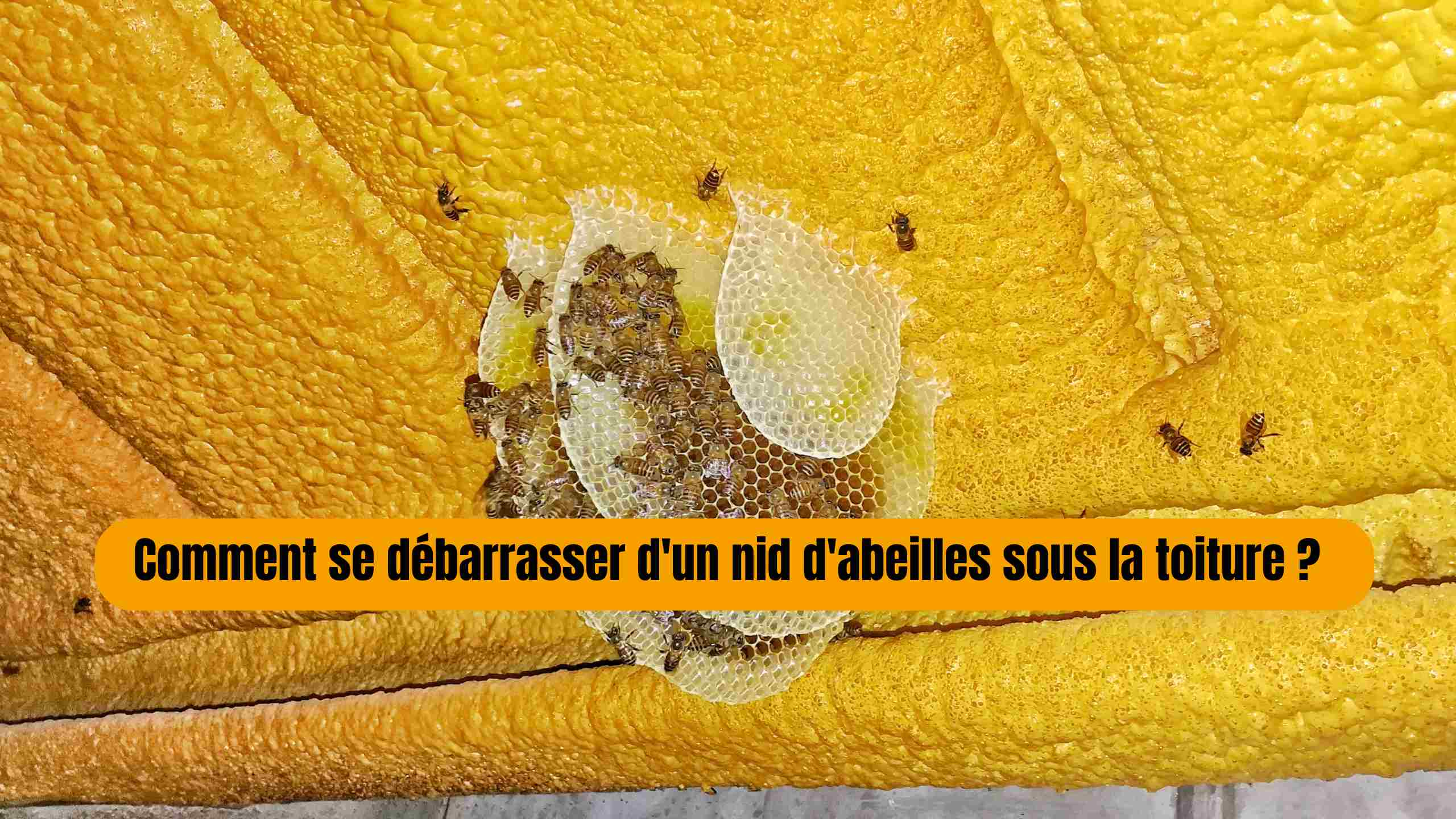 Comment se débarrasser d'un nid d'abeilles sous toiture ?