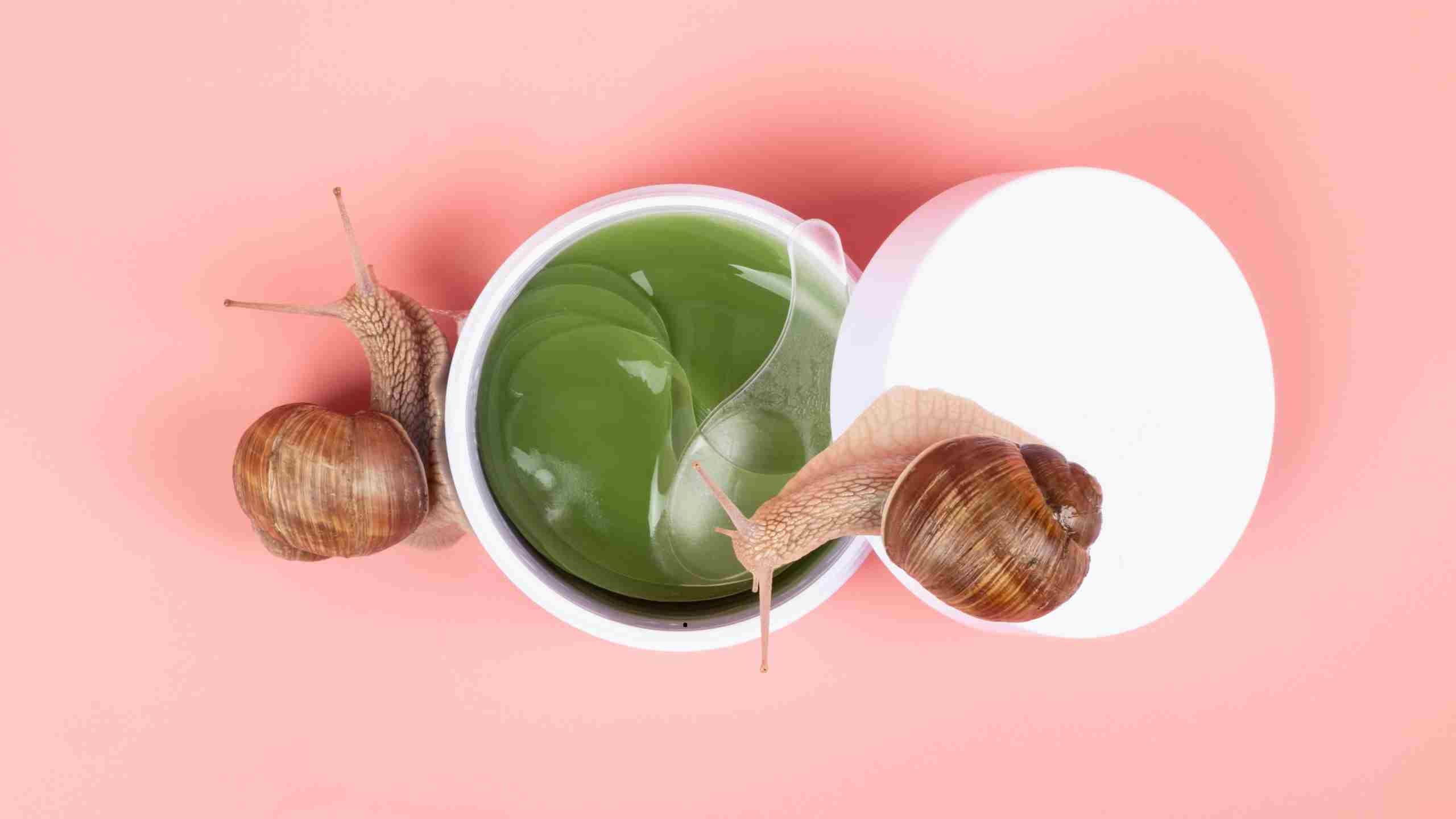 La cosmétique à la bave d’escargot bio : le secret gluant qui cartonne