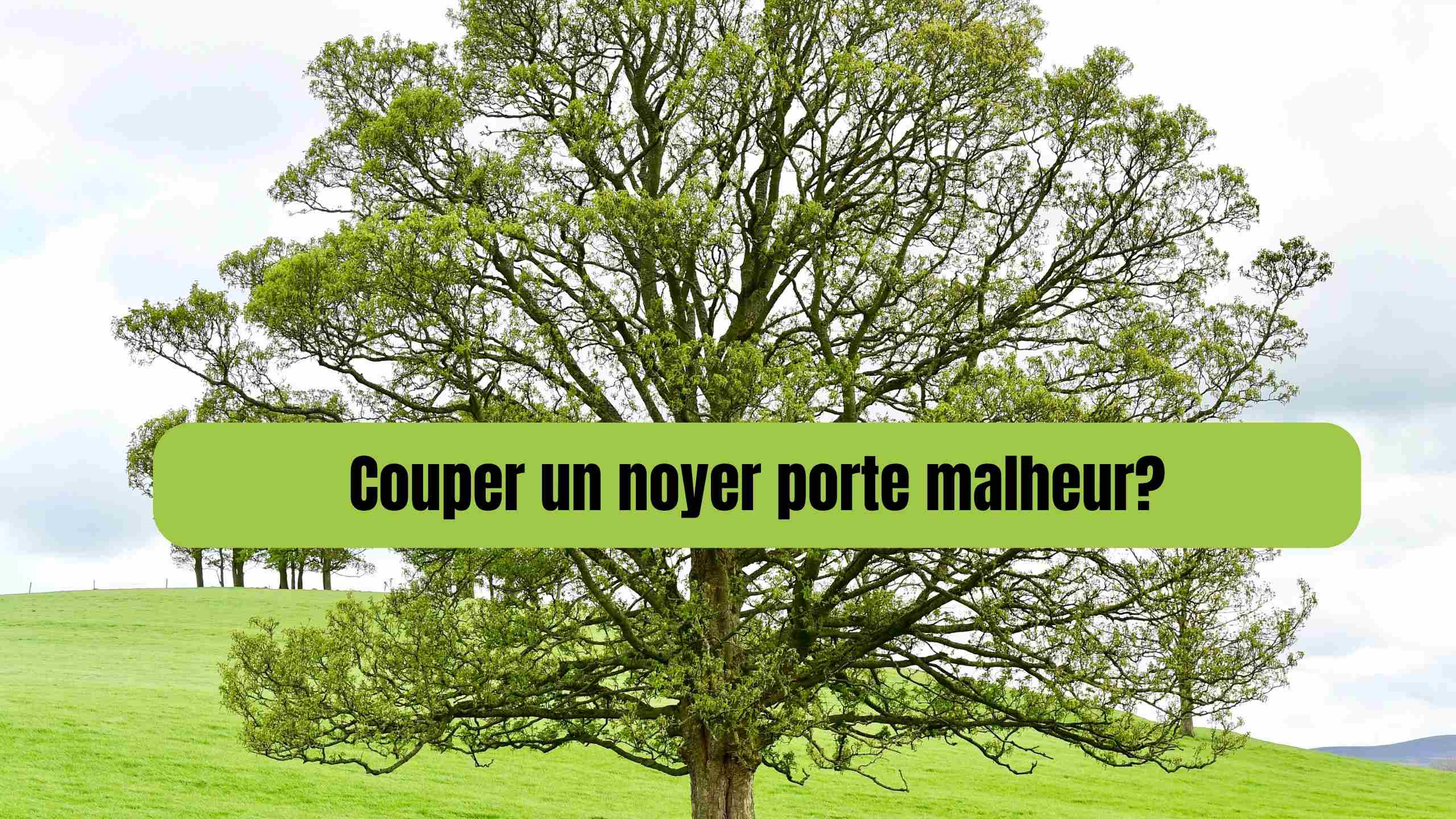 couper un noyer porte malheur