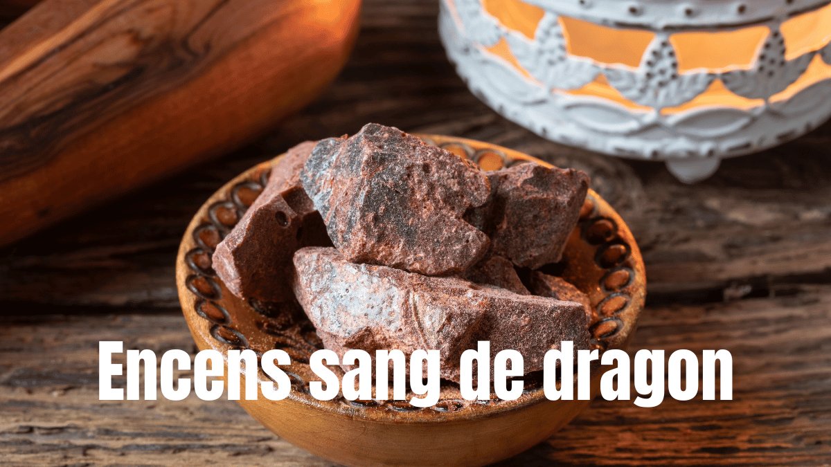 encens sang de dragon