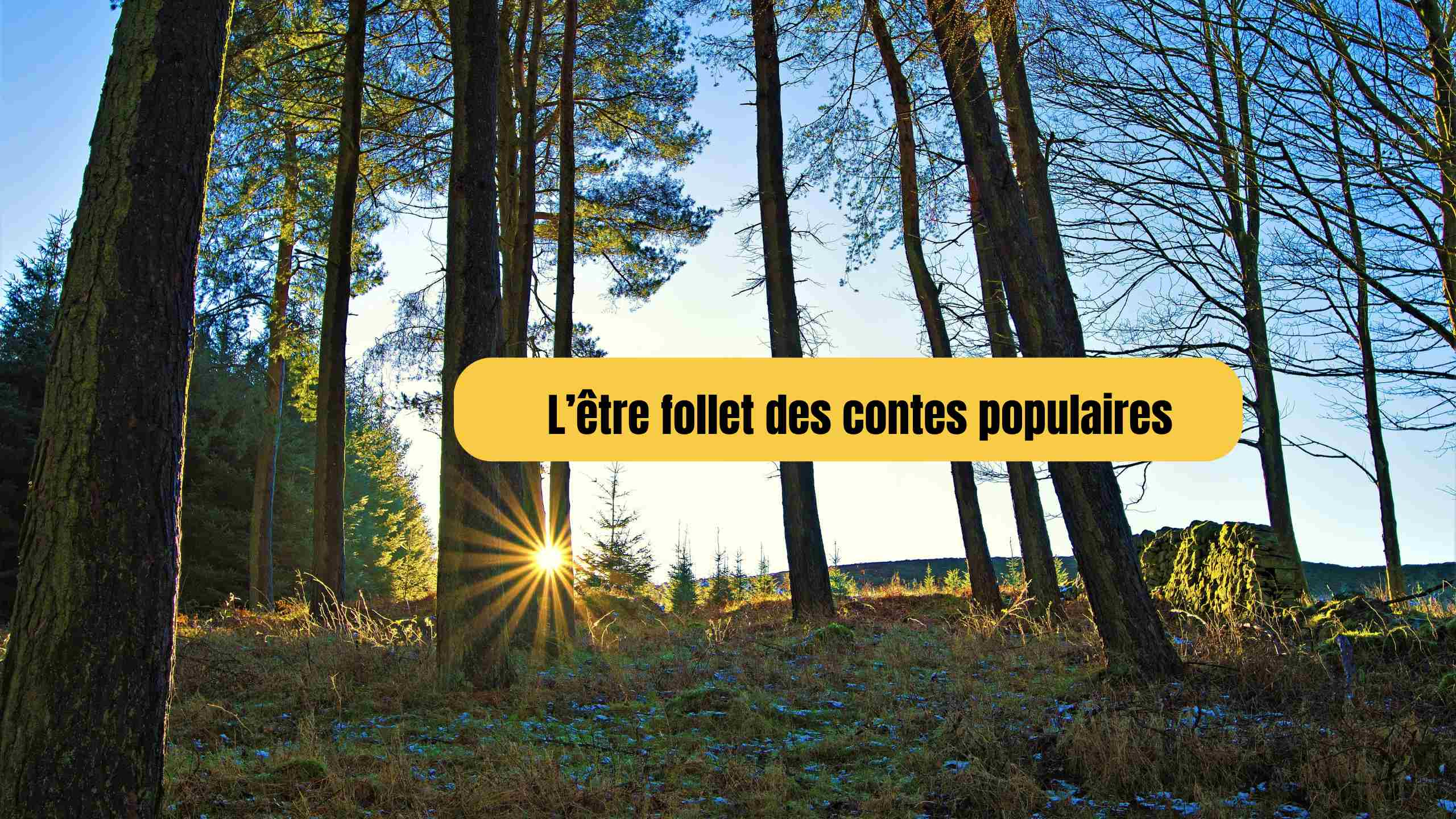 etre follet des contes populaires