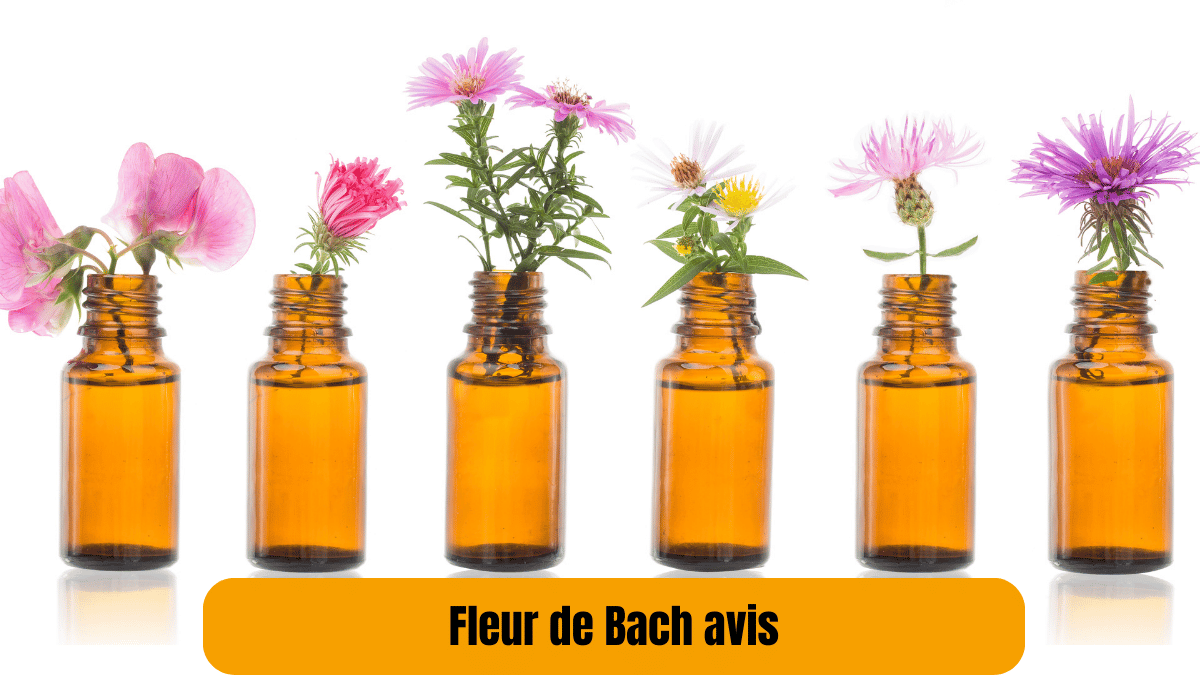 fleur de bach avis