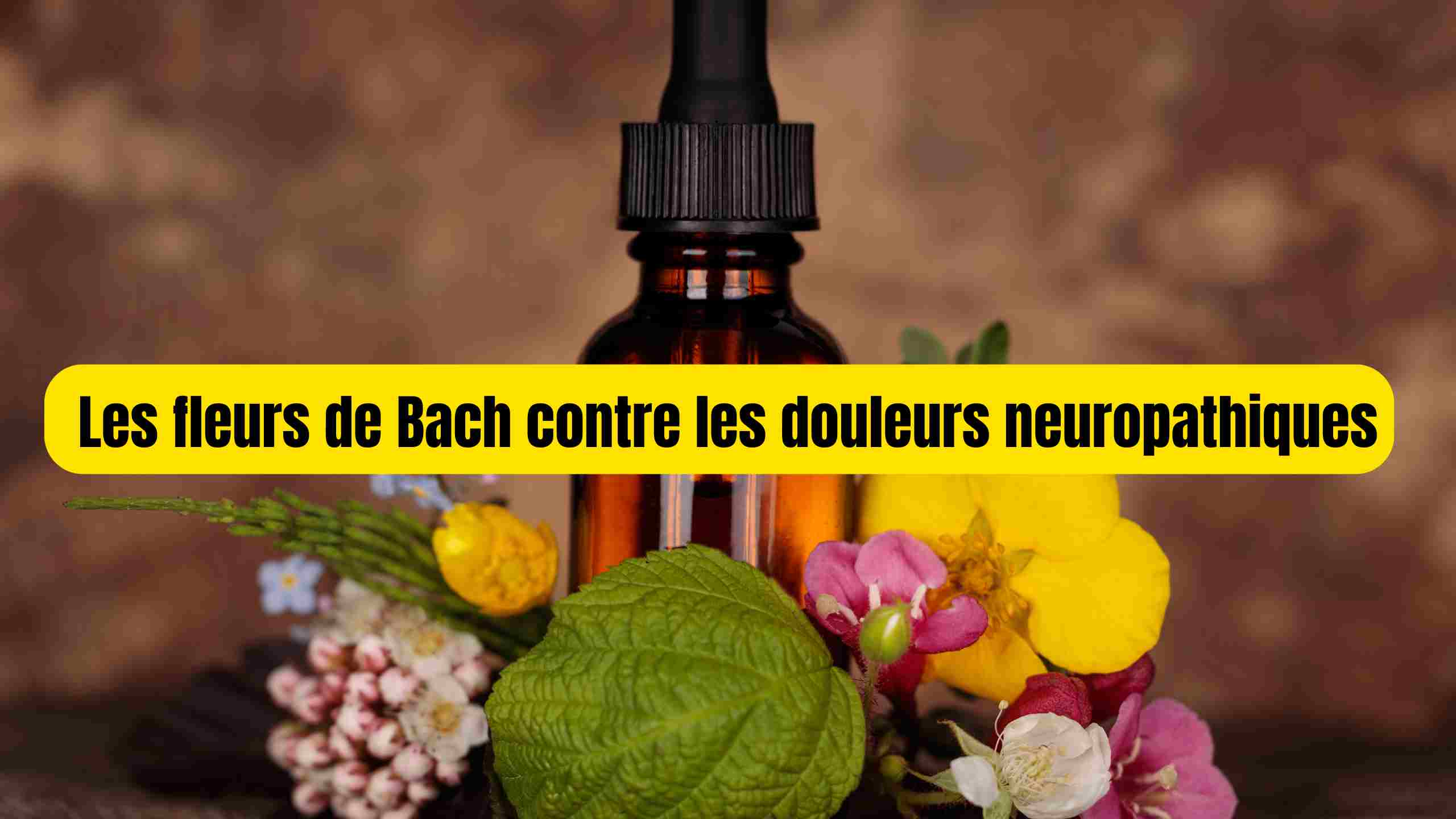 Soulager les douleurs neuropathiques avec les Fleurs de Bach : Solutions naturelles