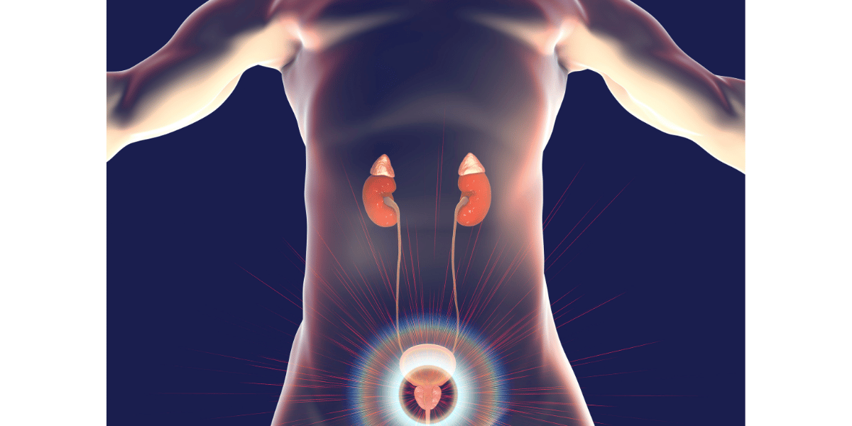 hemospermie traitement naturel