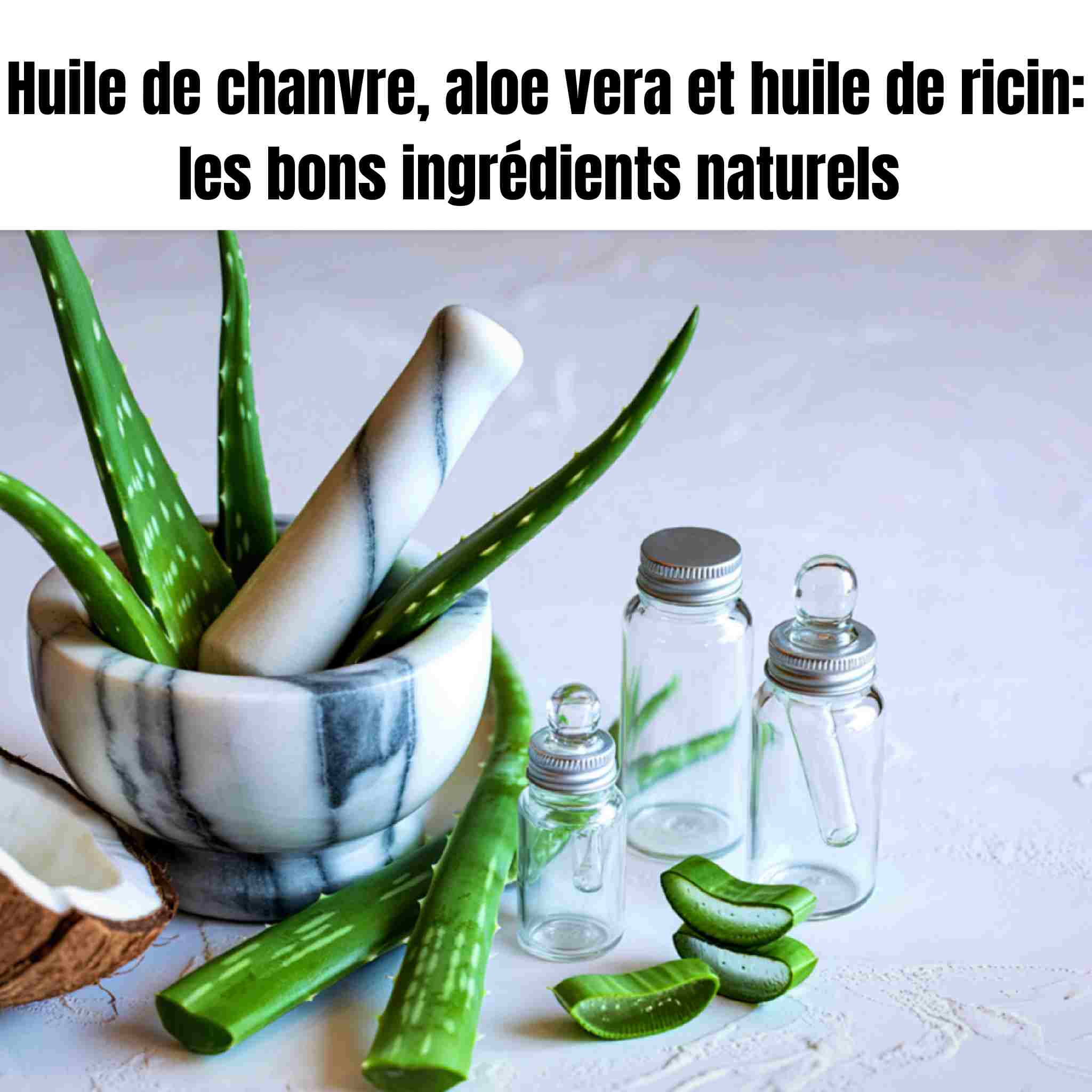 Ingrédients naturels expliqués : chanvre, ricin, aloe vera et leurs bienfaits réel