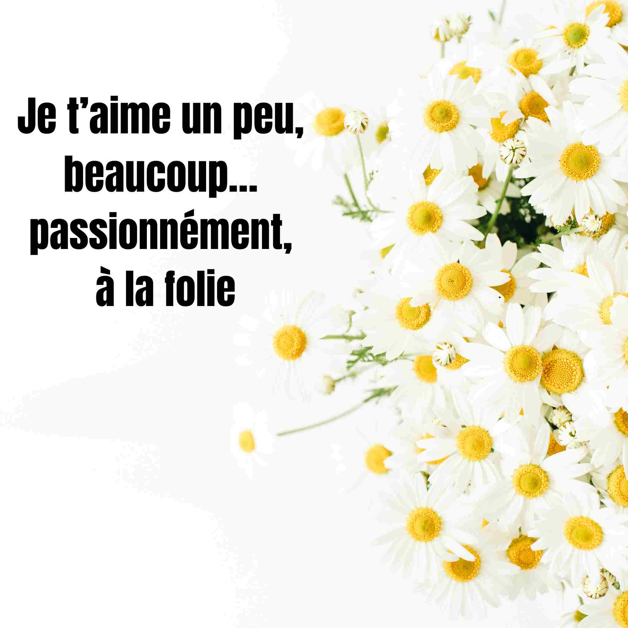 Je t’aime un peu, beaucoup… passionnément, à la folie : tout comprendre
