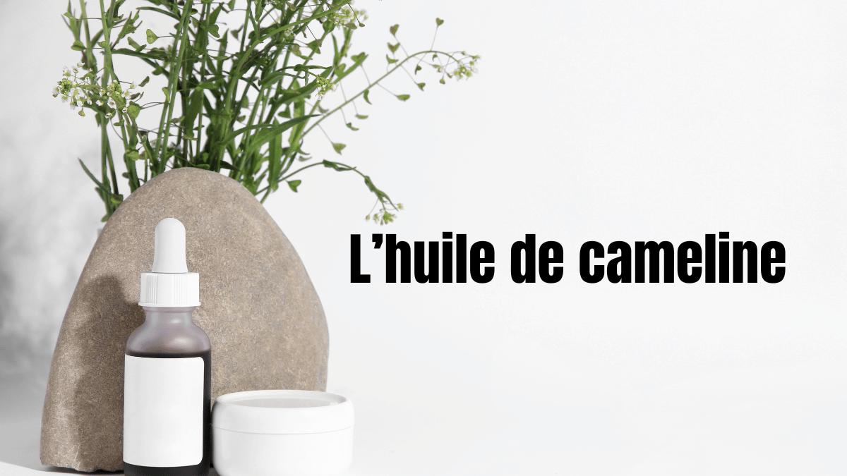 l'huile de cameline