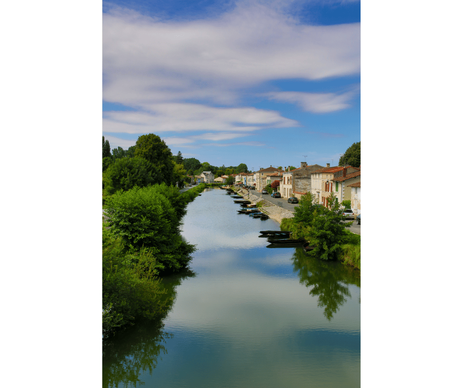 les meilleures recettes de grand mere poitevines