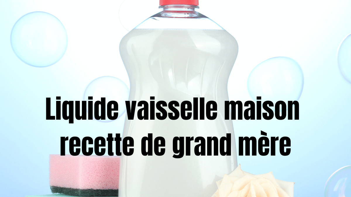 liquide vaisselle maison recette de grand mere