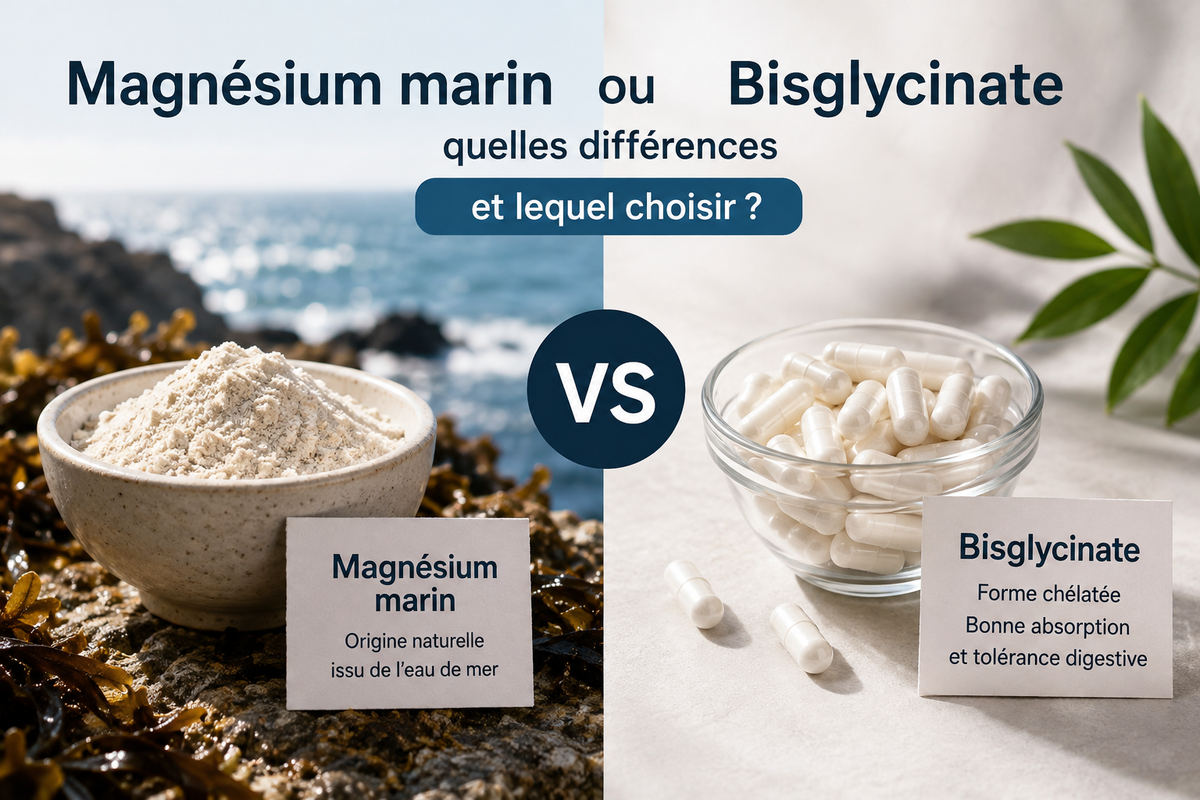 Magnésium marin ou bisglycinate : quelles différences et lequel choisir ?