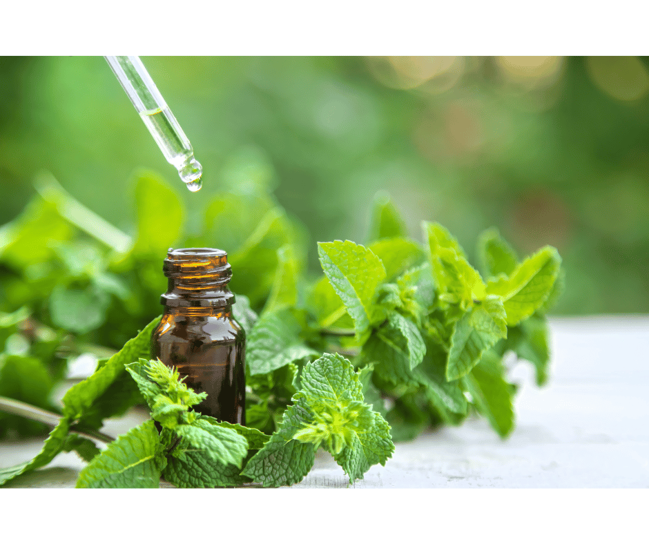 menthe poivrée cheveux la meilleure