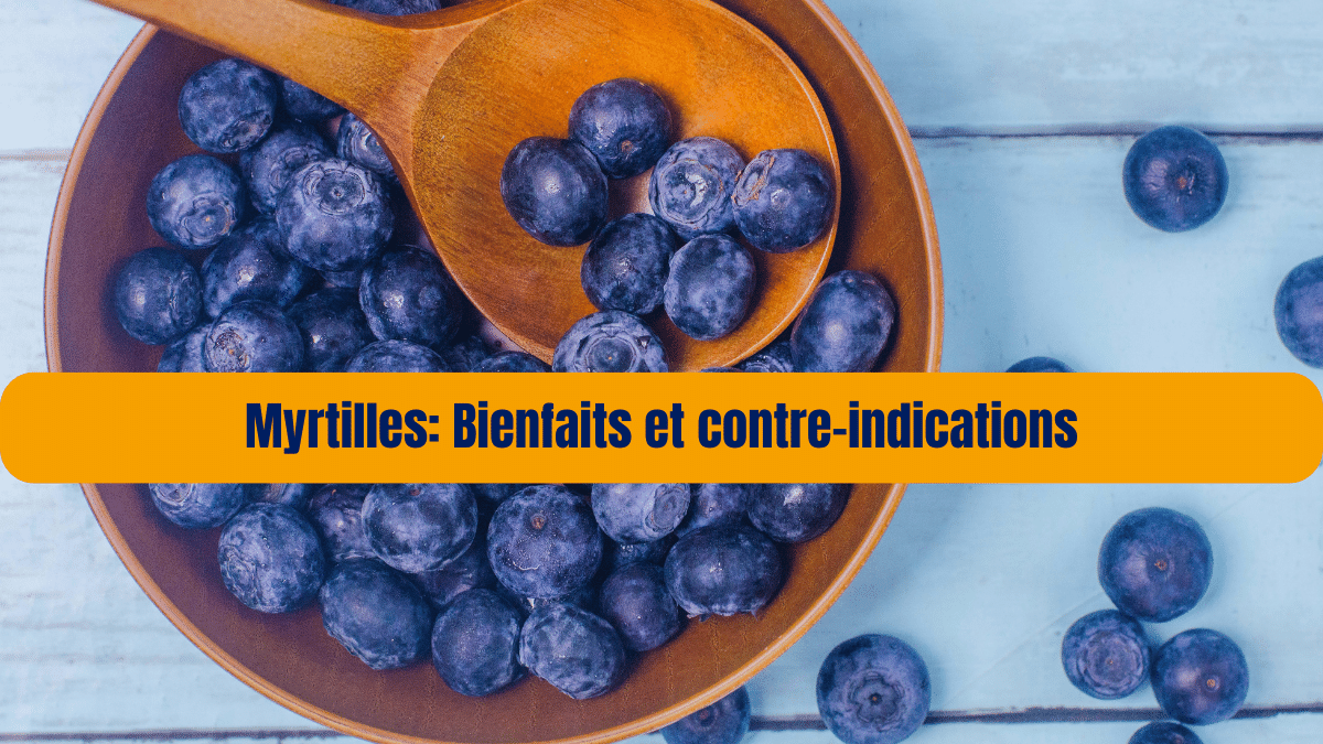 myrtilles bienfaits et contre indications