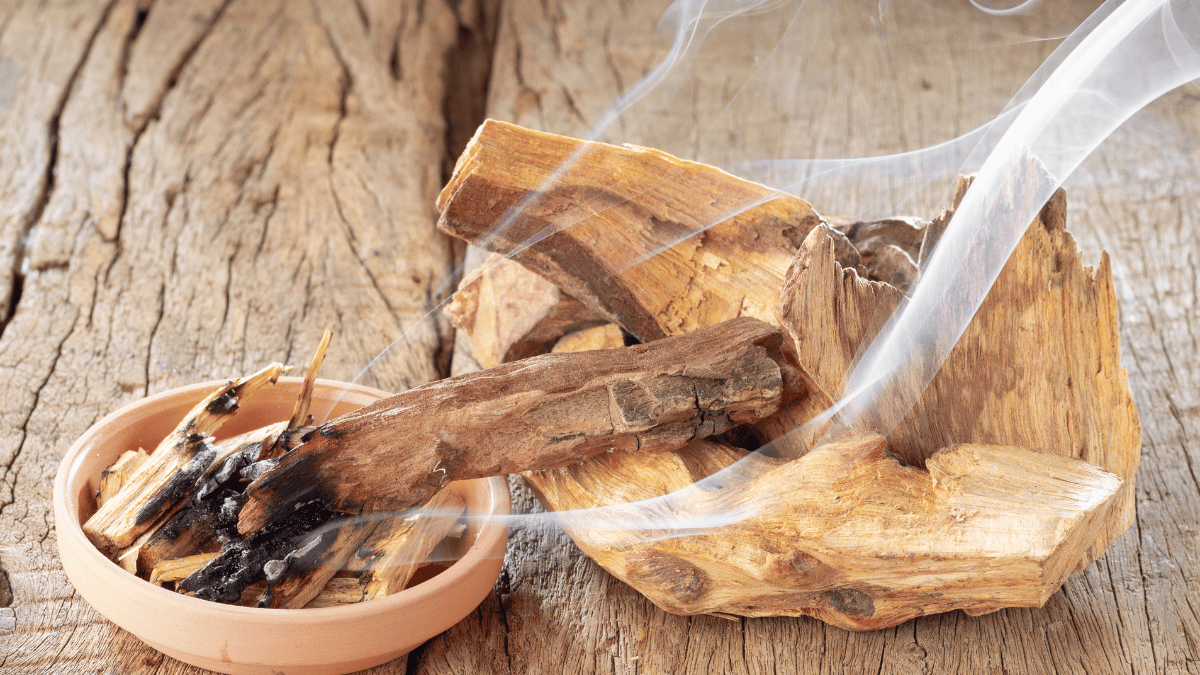 palo santo encens