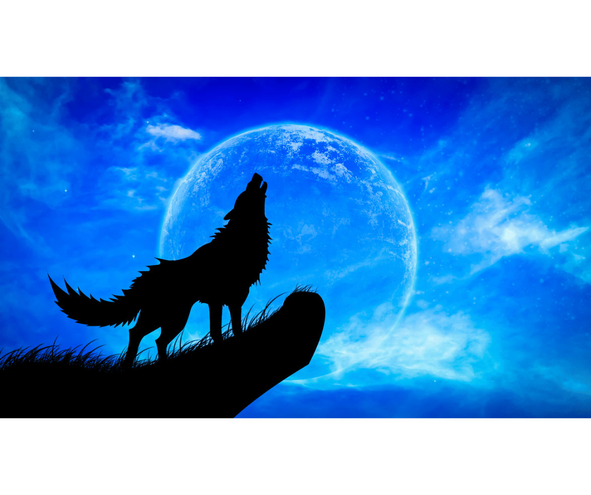 la pleine lune du loup 