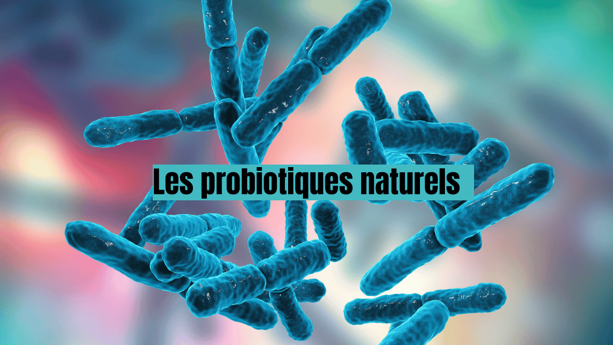 probiotiques naturels