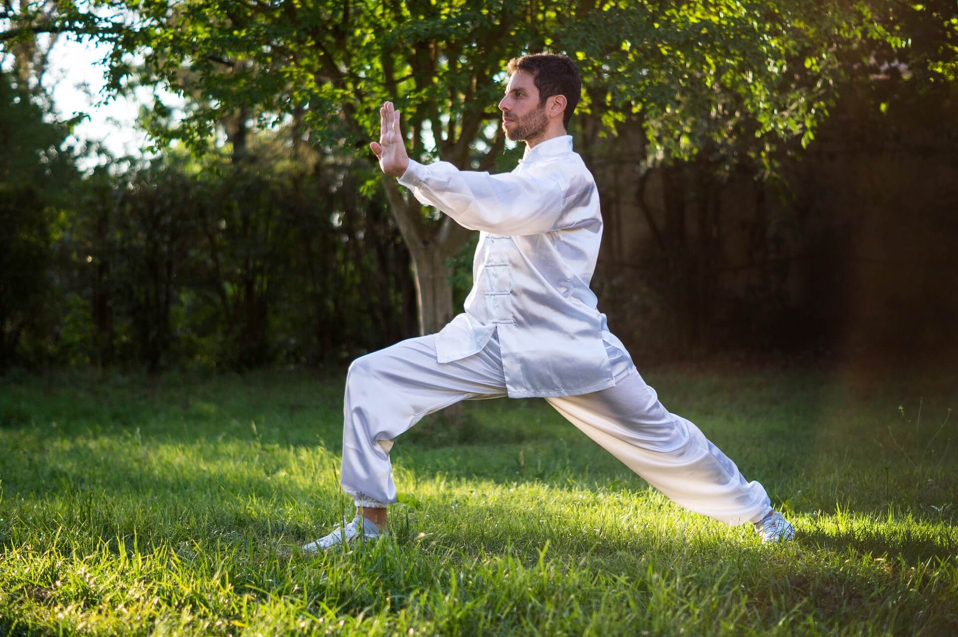 qi gong des 13 portes